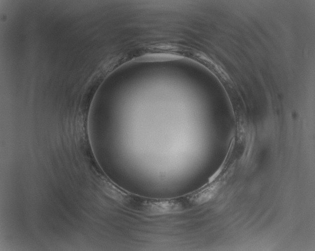 X0000051240473200506171115