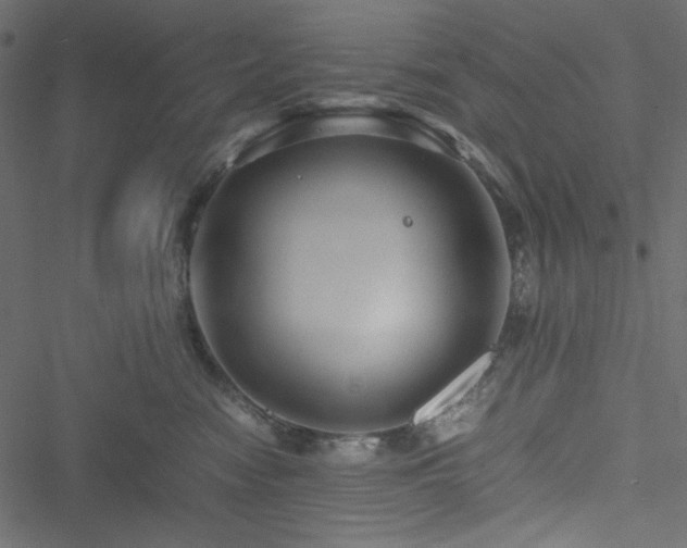 X0000051240474200506171115