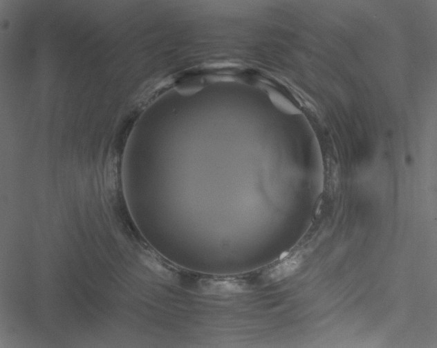 X0000051240475200506171115