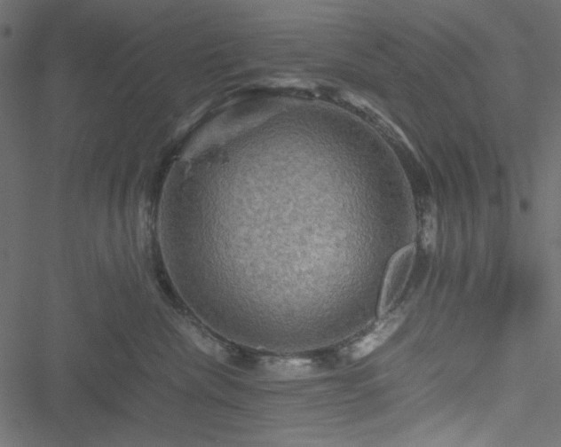 X0000051240476200506171115