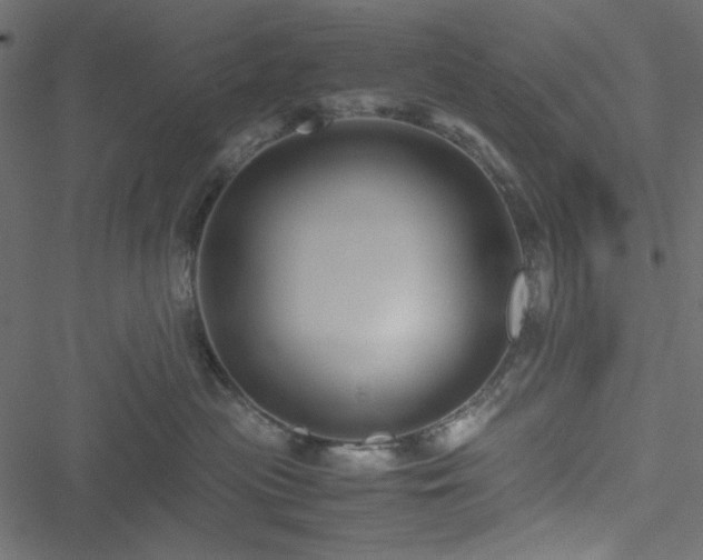 X0000051240477200506171115