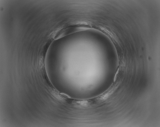 X0000051240478200506171115