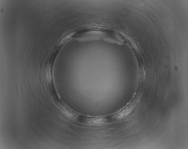 X0000051240479200506171115