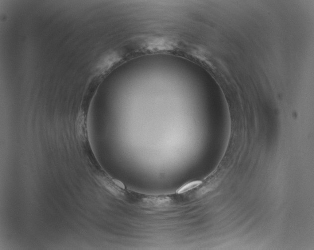 X0000051240480200506171115