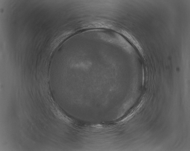 X0000051240481200506171114