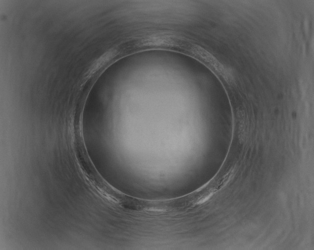 X0000051240482200506171114