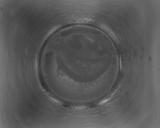 X0000051240483200506171114