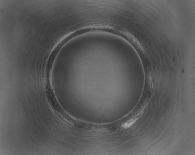 X0000051240484200506171114