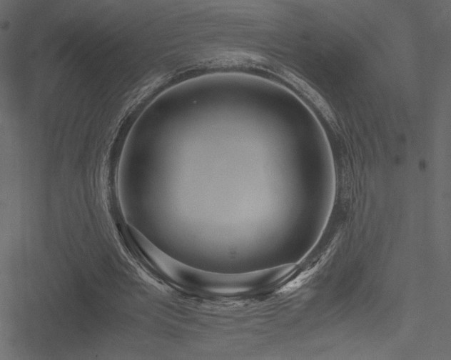 X0000051240485200506171114