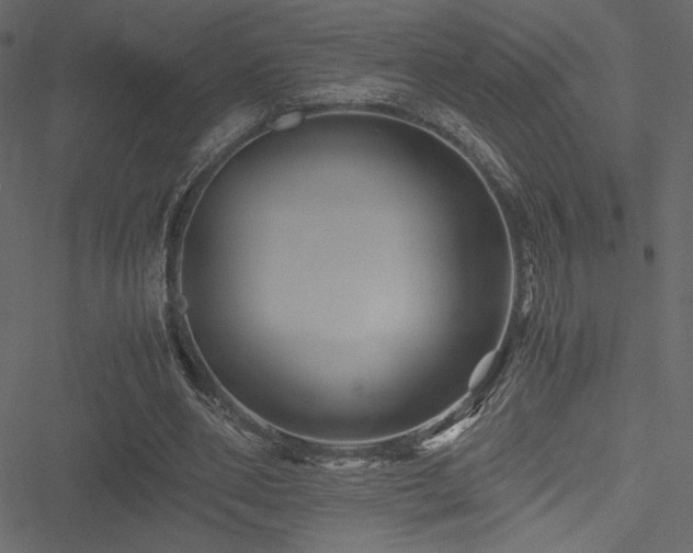 X0000051240486200506171114