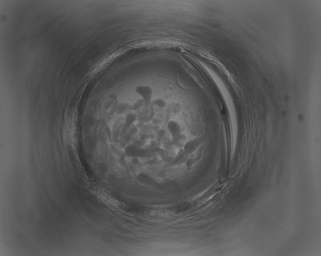 X0000051240487200506171114