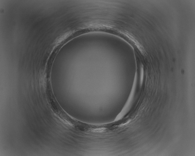 X0000051240488200506171114