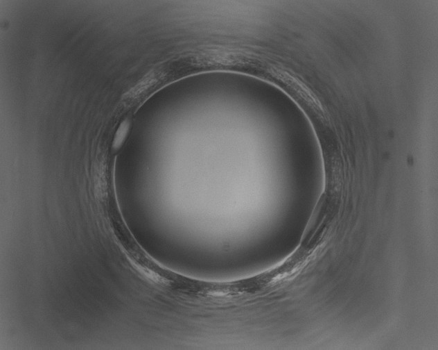 X0000051240489200506171114