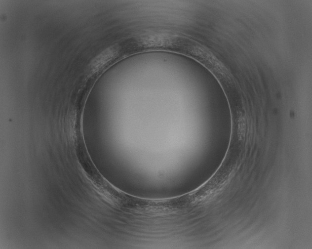 X0000051240490200506171114