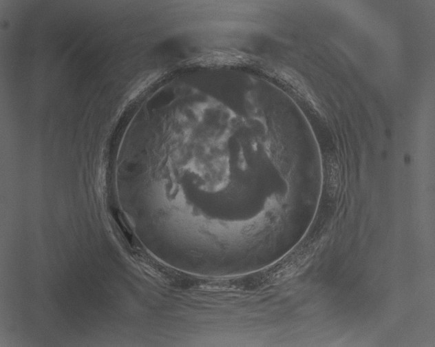 X0000051240491200506171114