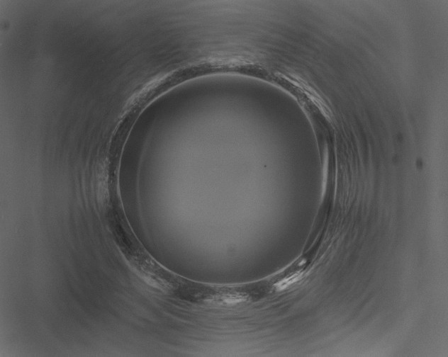 X0000051240492200506171114