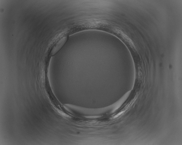 X0000051240493200506171114