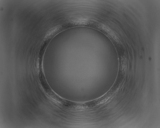 X0000051240494200506171114