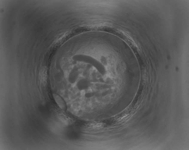 X0000051240495200506171114