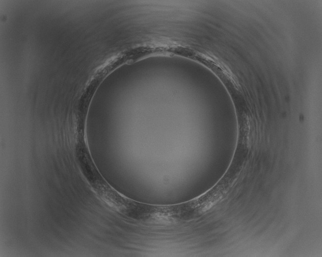 X0000051240496200506171114