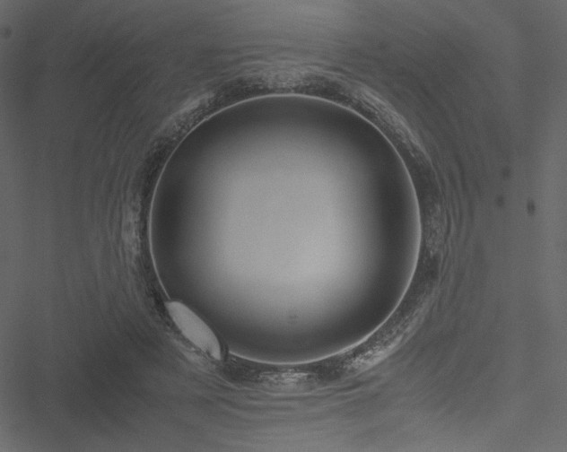 X0000051240497200506171114