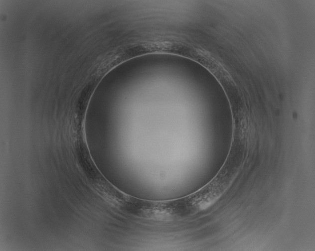 X0000051240498200506171114