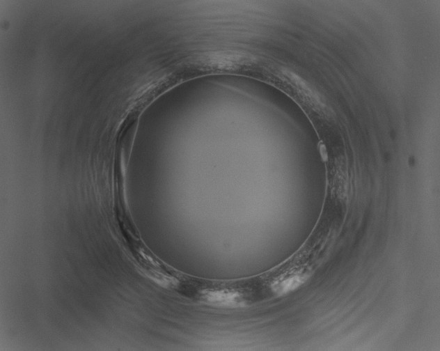 X0000051240500200506171114