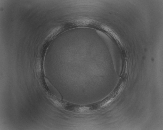 X0000051240501200506171114