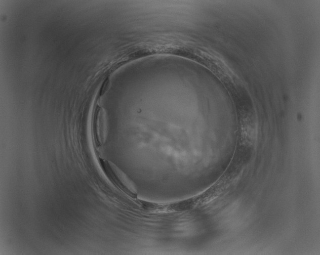 X0000051240503200506171114