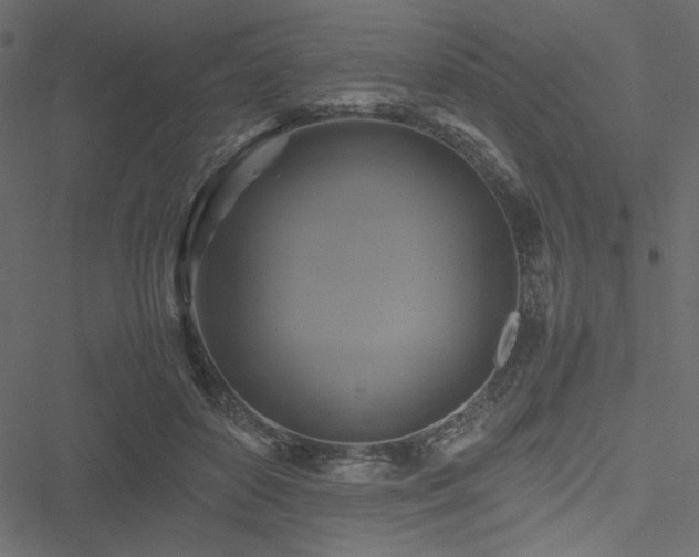 X0000051240504200506171114