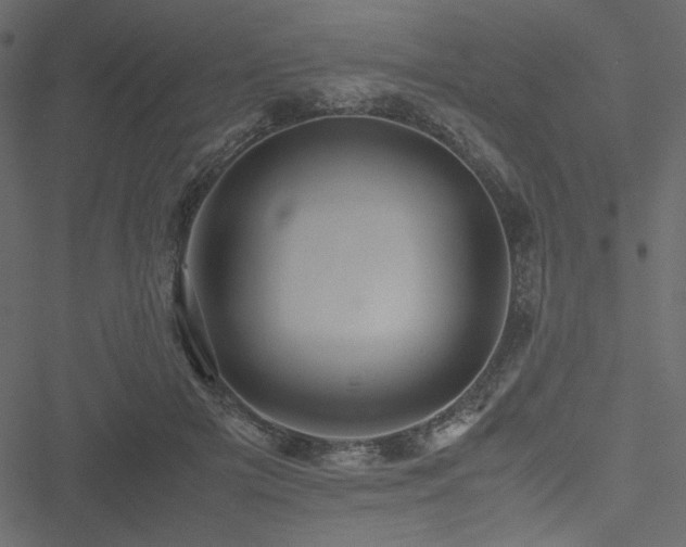 X0000051240505200506171114