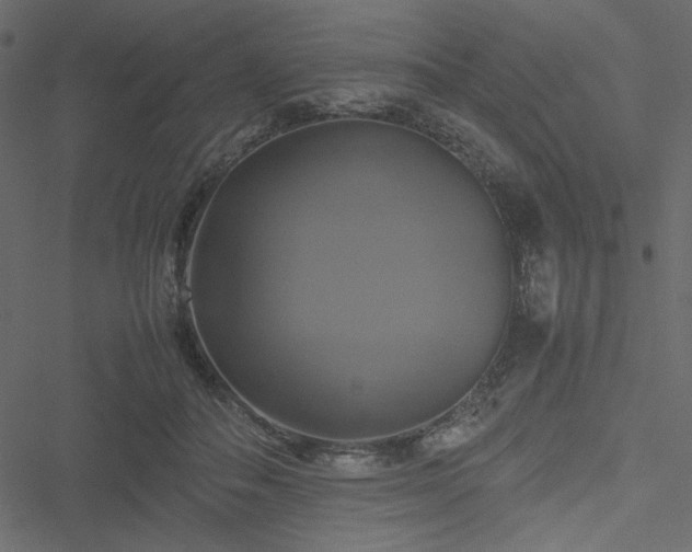 X0000051240506200506171114