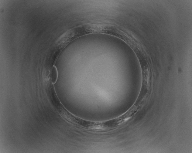 X0000051240507200506171114