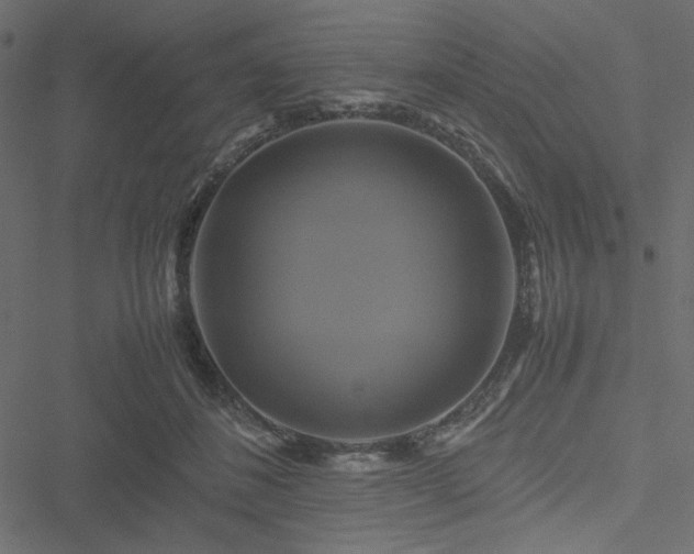 X0000051240508200506171114