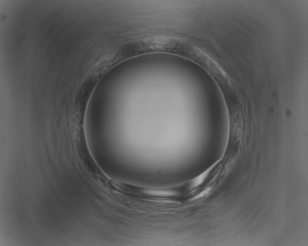 X0000051240509200506171114