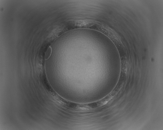 X0000051240510200506171113