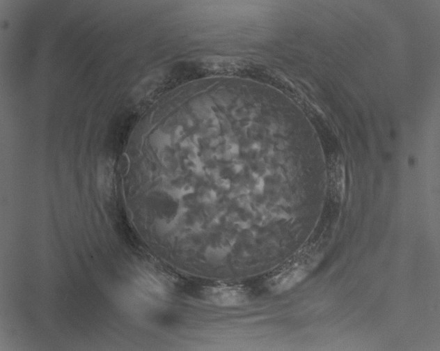 X0000051240511200506171113