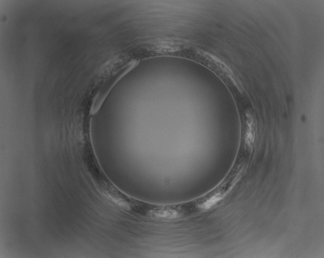 X0000051240512200506171113