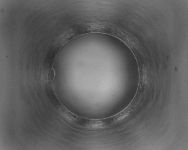 X0000051240514200506171113