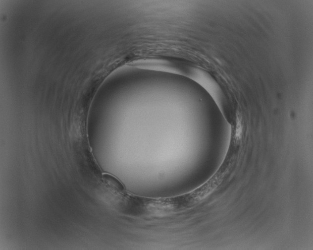 X0000051240515200506171113