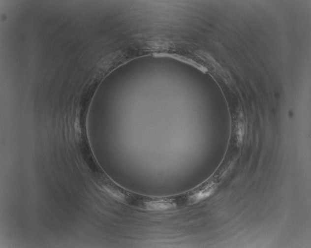 X0000051240516200506171113