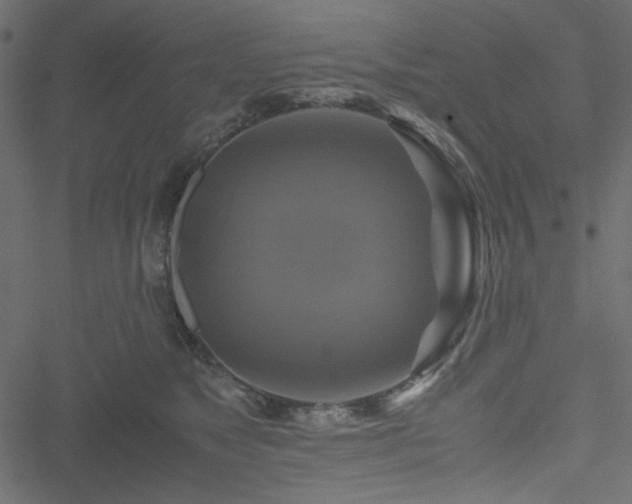 X0000051240517200506171113