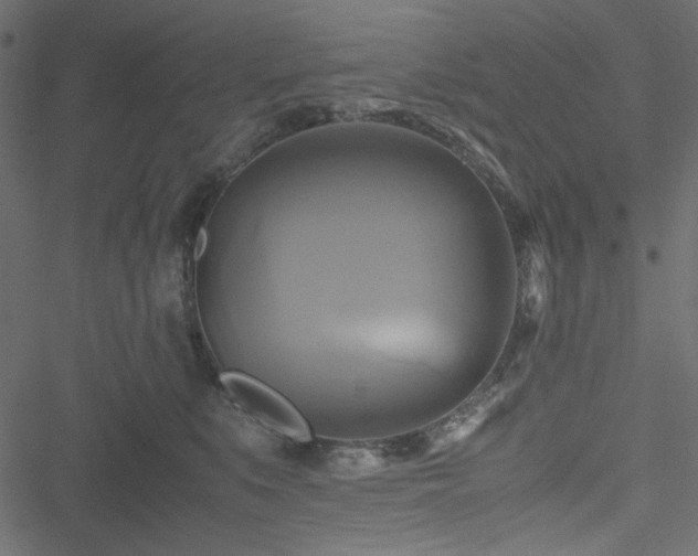 X0000051240519200506171113