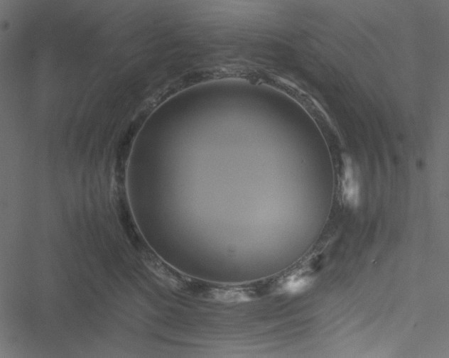 X0000051240520200506171113