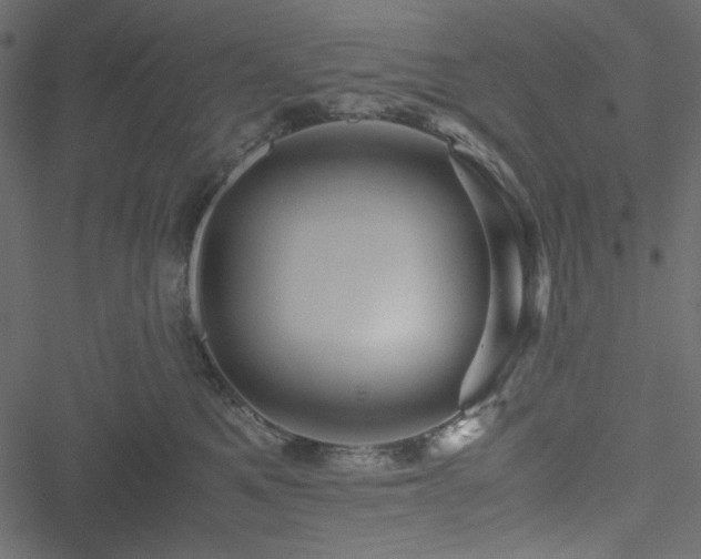 X0000051240521200506171113