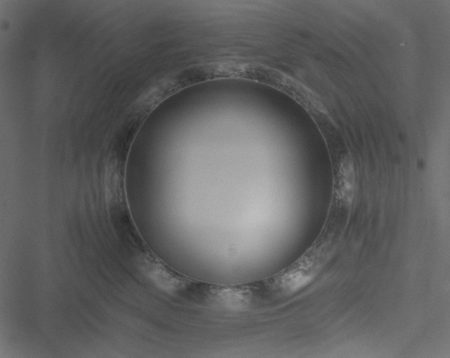 X0000051240522200506171113