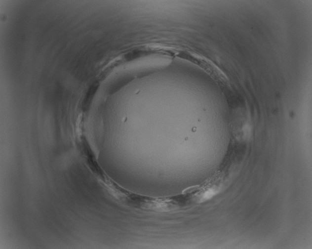 X0000051240523200506171113