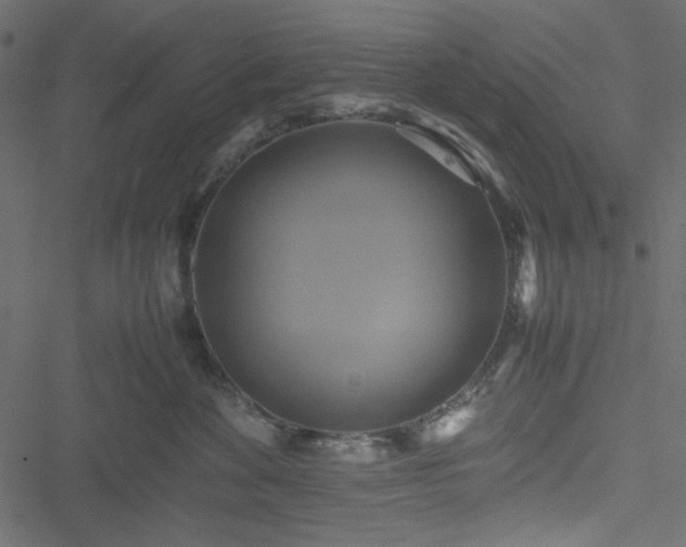 X0000051240524200506171113