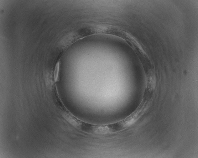 X0000051240525200506171113