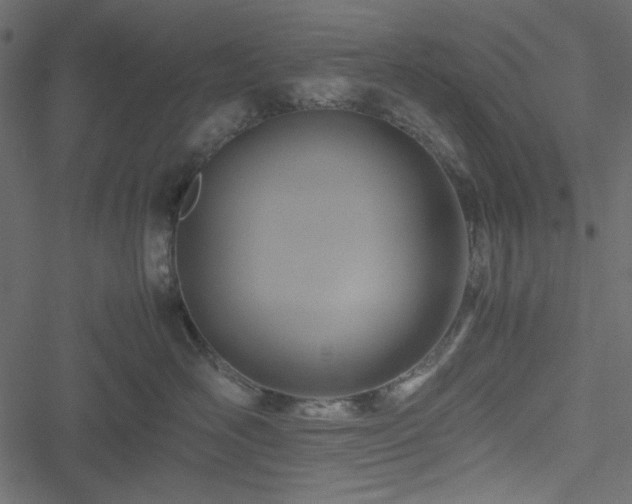 X0000051240526200506171113